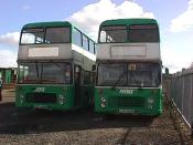 Bus And Coach