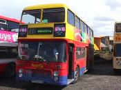 Bus And Coach
