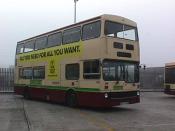 Bus And Coach