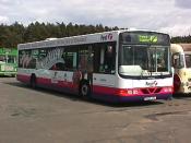 Bus And Coach