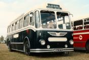 Buses/coaches