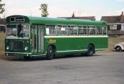 Buses/coaches