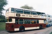 Buses/coaches