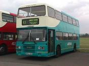 Bus And Coach