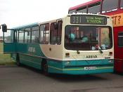 Bus And Coach