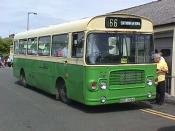 Bus And Coach