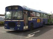 Bus And Coach