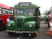Bus And Coach