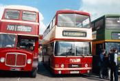 Bus/coach