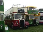 Bus And Coach