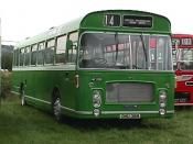 Bus And Coach