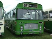 Bus And Coach