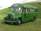 Bus And Coach