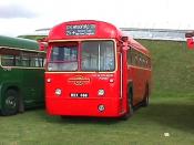 Bus And Coach
