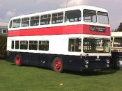 Bus And Coach