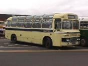 Bus And Coach