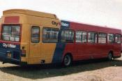 Buses At Newbury Racecourse 1985