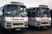 Buses at Newbury Racecourse 1985