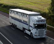 07-c-20620 Scania R620