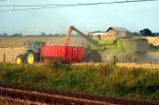 Claas 218 Colton 09-08-2003