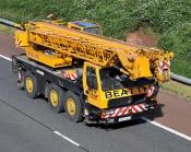 Enz 4441 Grove Coles Megatpak