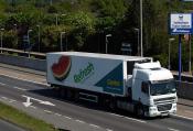 Gez 6377 Daf Cf