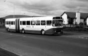 Rln 234w Leyland Dab