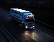 Scania R560