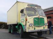 AEC Mammoth Major