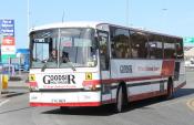 Goodsir Dennis Javelin