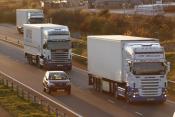 Pair Of Scania's