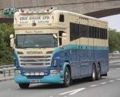 Scania Horsebox