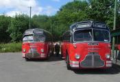50th Anniversary Of The D9