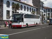 Avm 19