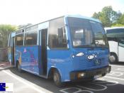 Vila Franca Do Campo Town Hall Bus