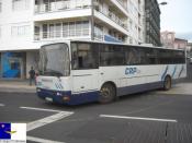 Crp 19
