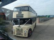 3156 WE Leyland PD