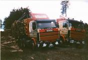 2 Scan