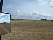 Fields Of Straw