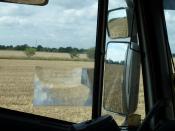 Fields Of Straw