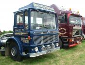 Sedgemoor Vintage Show July 2009