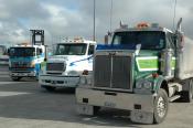 Western Star, Freightliner and Hino. Auckland
