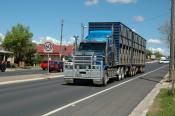 Western Star Stock Transporter  Bathurst