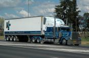 Peterbilt,  Napoli Transport,  Bathurst.