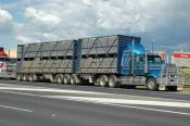 Western Star, Stock Transporter,  Bathurst