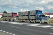 Kenworth,  Stock Transporter,  Bathurst.