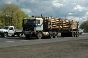 Volvo,  Logger,  Bathurst