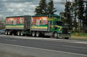 Kenworth,  Aust Native Landscapes,  Bathurst