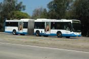 Sydney Buses,  Sydney