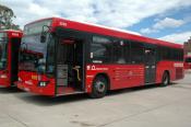 Sydney Buses,  Custom, Sydney